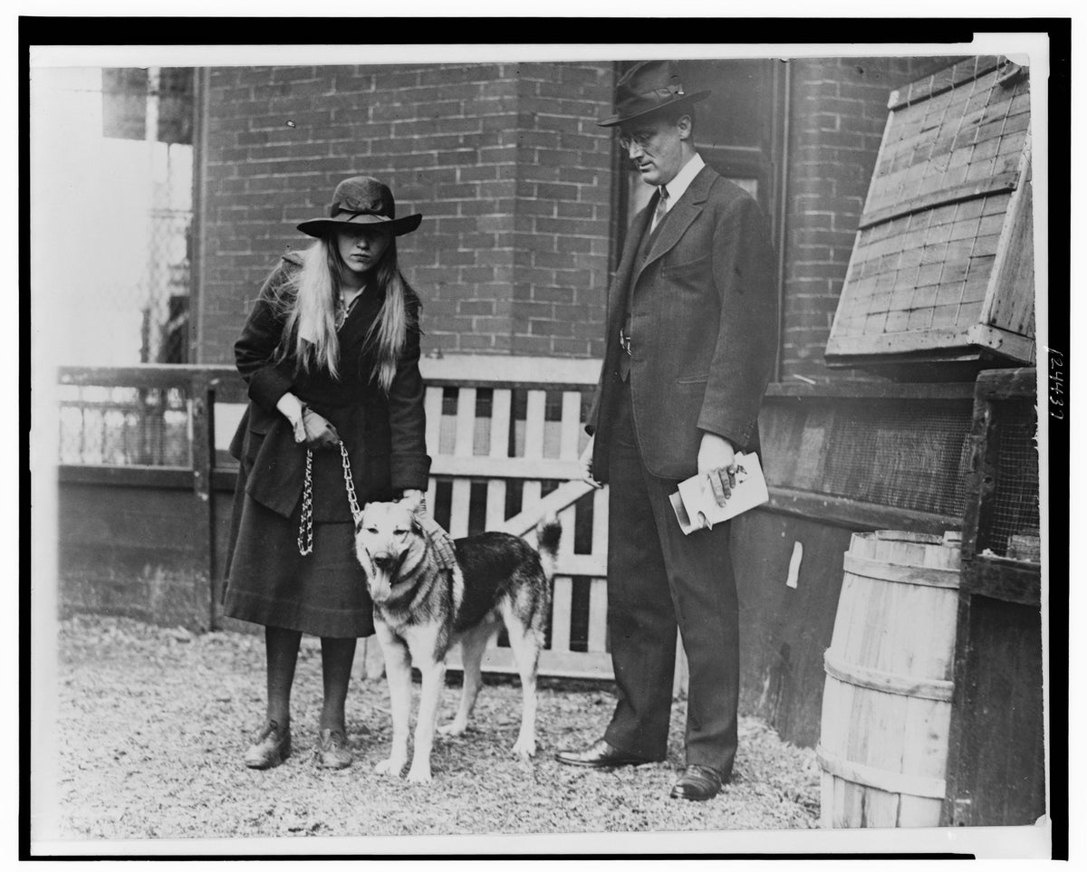 1920 年華盛頓犬舍俱樂部犬展；美國國會圖書館公版歷史照片