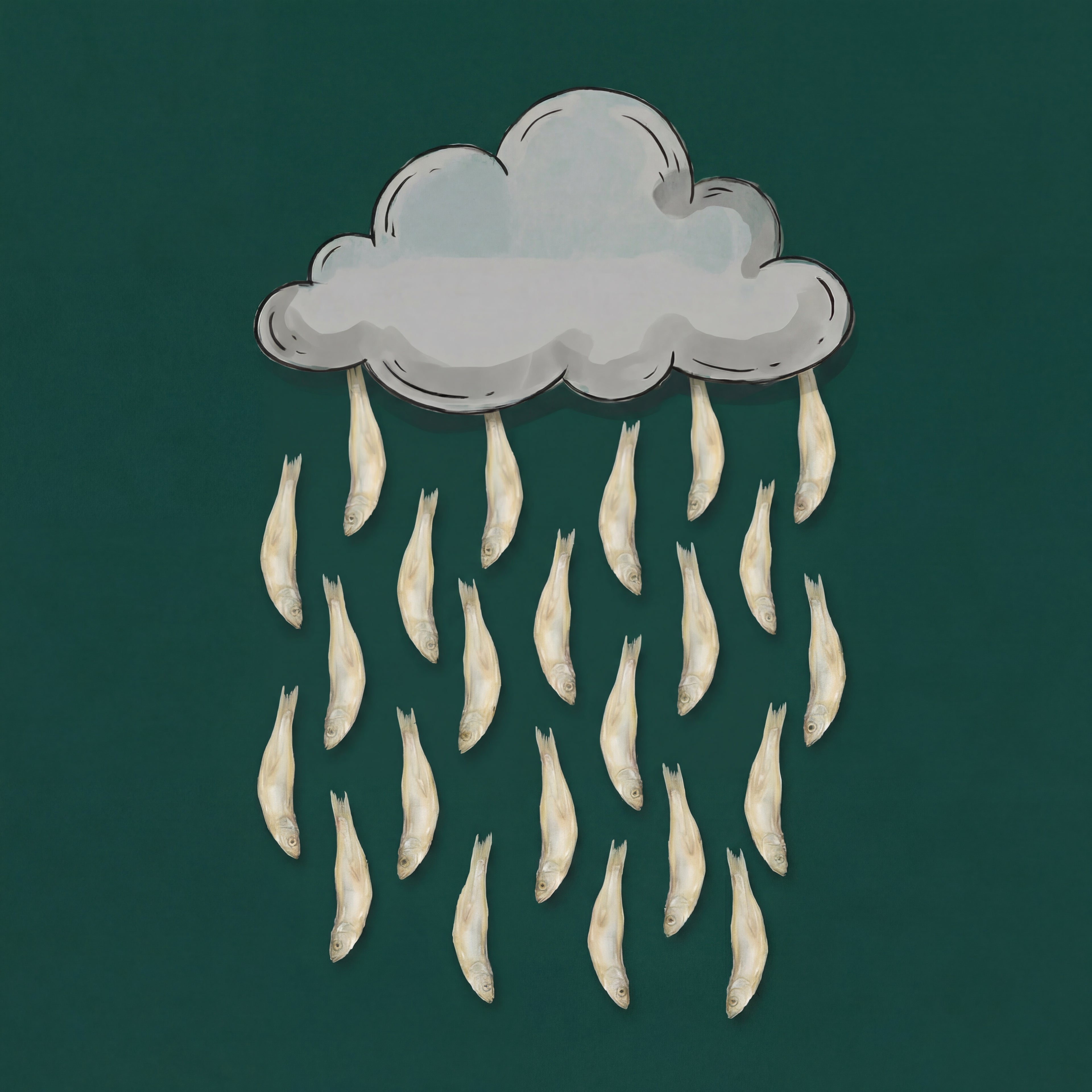 ◈ 海味仔 ◈ 水晶魚凍乾