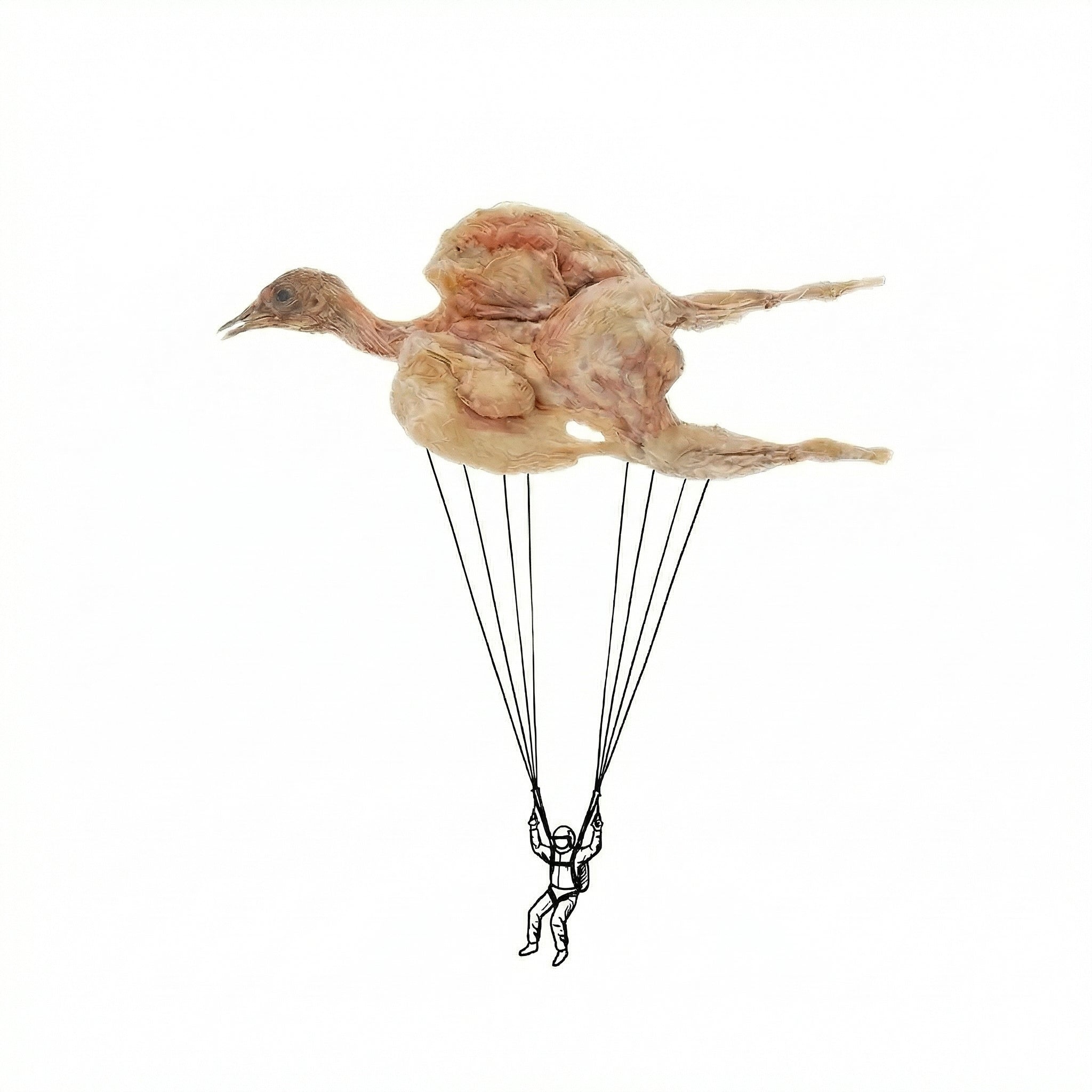 ◈ 活跳跳 ◈鵪鶉凍乾