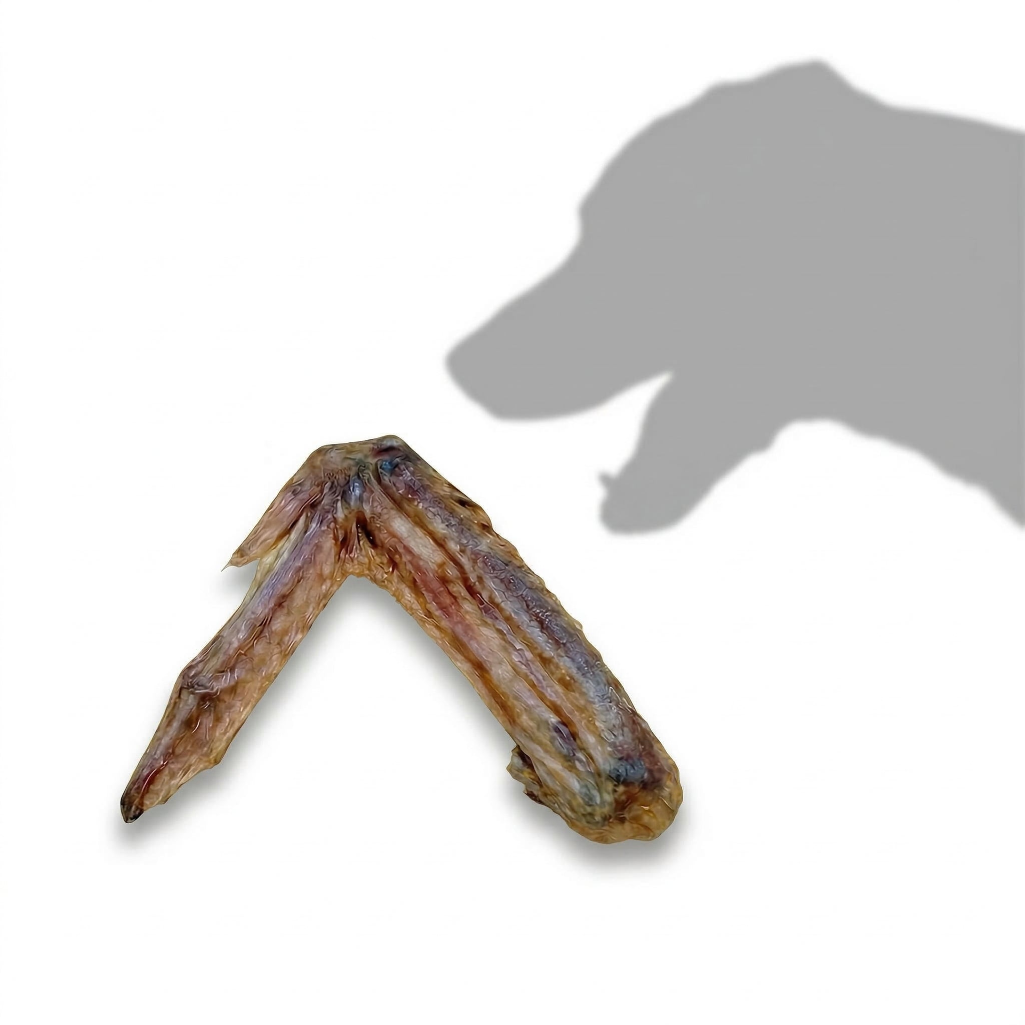 ◈ 走敢若飛 ◈ 鴨翅