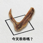 ◈ 走敢若飛 ◈ 鴨翅