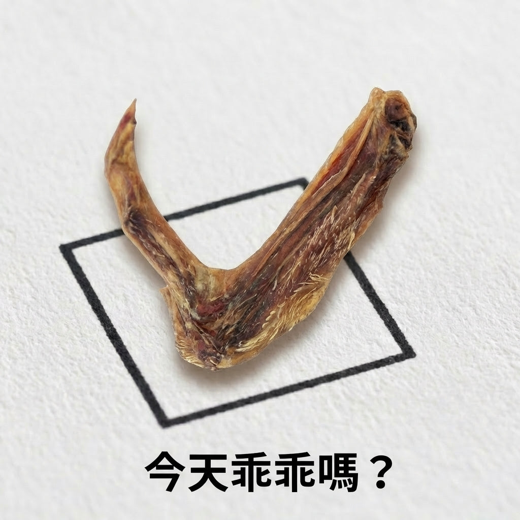◈ 走敢若飛 ◈ 鴨翅
