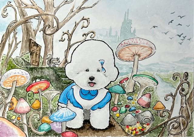 巴洛 Barlow 寵物水彩插畫作品範例｜比熊夢遊仙境
