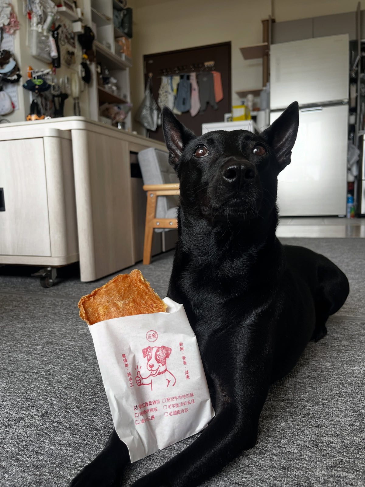 飼主授權分享：歐巴與匠寵雞霸雞肉零食合照