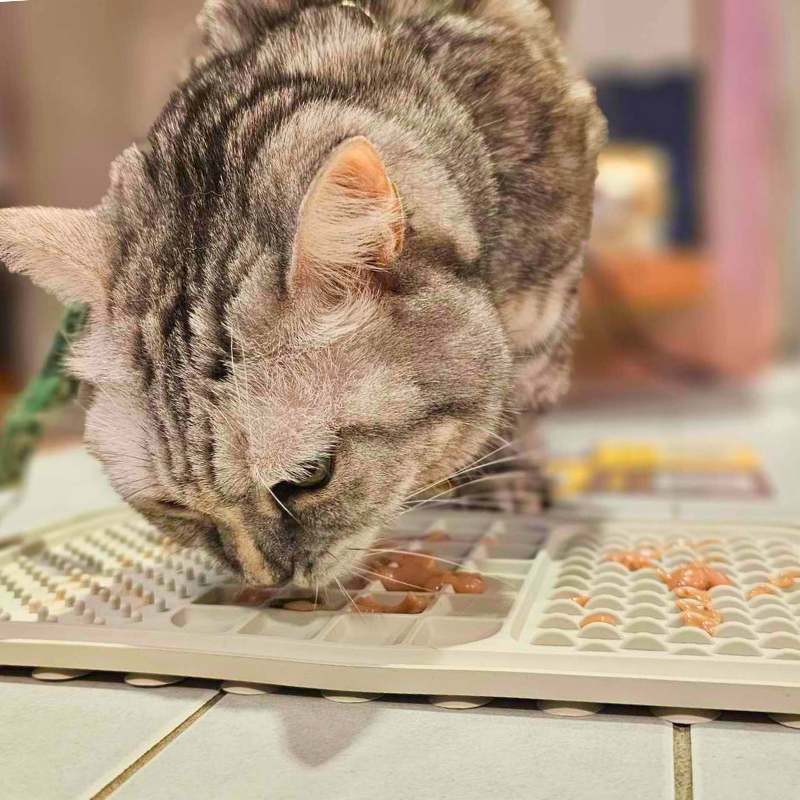 毛孩探險家吸盤舔食墊｜商品圖片 5